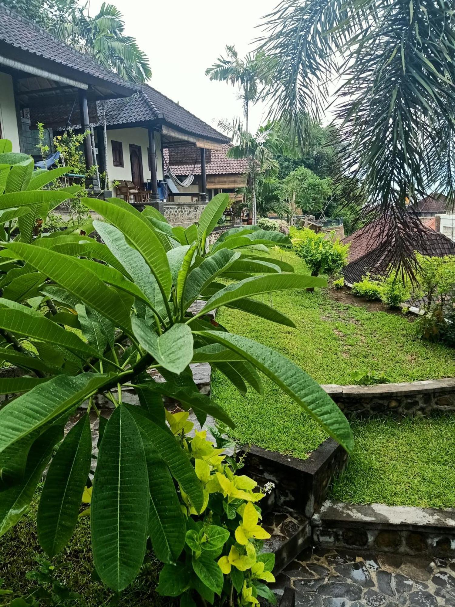 Bamboo Bali Apartment Amed  Room photo